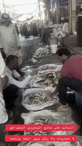 #رئيس_الوزراء_محمد_شياع_السوداني #محافظات_العراق #الديوانيه #مجلس_النواب_العراقي #رئيس_الجمهوريه 