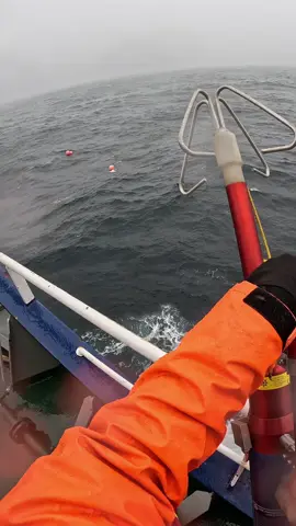 #offshore #norgvarg #tiktoksea 