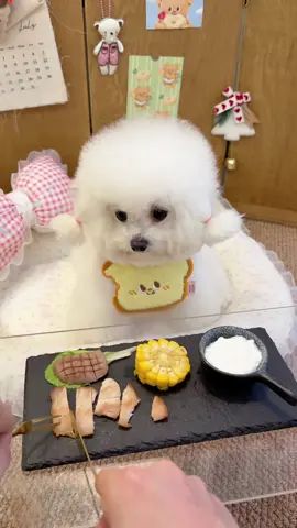 #Bichon Frise #Pet Vlog