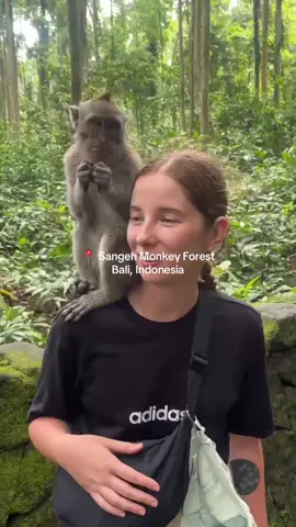 Qualche giorno fa siamo stati alla Sangeh Monkey Forest a Bali 🐒 Un luogo immerso nella natura e nella spiritualità, lontano dal caos di Ubud. 🌿 Qui le scimmie non sono aggressive: sono loro a sceglierti, ti vengono vicino e, puoi anche dar loro del cibo. Non bisogna inseguirle o infastidirle, basta lasciarsi scegliere. I guardiani  🙏 sono sempre presenti per proteggere sia noi che le scimmie, mantenendo l’armonia di questo posto magico. 🌸 #bali #monkey #monkeyforest #indonesia #balitravel 