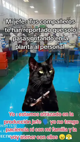 #Meme #MemeCut #CapCut #pyfffffffffffffffffffffffffffffffff #pyfツviral_❤ 