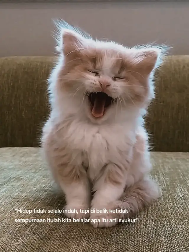 🔑 Cara Melatih Kedisiplinan 1. Tentukan Tujuan yang Jelas Tulis apa yang ingin kamu capai (misalnya: rajin olahraga, hemat uang, bangun pagi). Tujuan yang jelas bikin kamu tahu arah & alasan kenapa harus disiplin. --- 2. Mulai dari Hal Kecil Rapikan tempat tidur setiap bangun. Tepati waktu makan atau belajar. Disiplin itu tumbuh dari kebiasaan kecil yang konsisten. --- 3. Buat Jadwal & Patuh Gunakan to-do list atau kalender harian. Tentukan jam tidur, jam bangun, jam belajar/kerja. Usahakan patuh meski sedikit “malas” → ini latihan mental. --- 4. Atur Lingkungan Singkirkan pengganggu (misalnya HP saat belajar). Cari tempat yang mendukung untuk fokus. Lingkungan yang rapi bikin pikiran lebih tertata. --- 5. Latih Kontrol Diri Tahan diri dari hal-hal kecil (misalnya menunda cek sosmed saat kerja). Biasakan berkata “tidak” pada hal yang mengganggu tujuanmu. --- 6. Evaluasi & Hargai Diri Cek progres mingguan → apa sudah sesuai jadwal? Kalau berhasil, beri reward kecil (makan favorit, nonton film). Kalau gagal, jangan menyerah → coba lagi dengan perbaikan. --- 7. Konsisten Lebih Penting dari Sempurna Jangan tunggu mood atau motivasi. Disiplin = lakukan meski tidak ada yang memaksa. #katakata #fyp #foryou #videomotivasi #creatorsearchinsights 