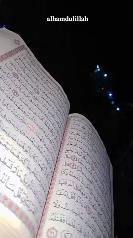 #الحمدالله_علی_کل_حال❤ #💚💚💚 ##shqlawa #harer 