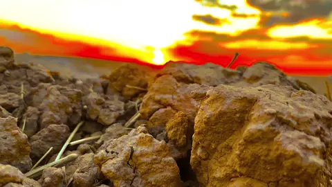 حبايب#تصويري_احترافي_الاجواء👌🏻🕊😴 #تفاعلكم_حتى_أستمر #عباراتكم_الفخمه📿📌 #مالي_خلق_احط_هاشتاقات 💔❤️‍🩹😔😭📸