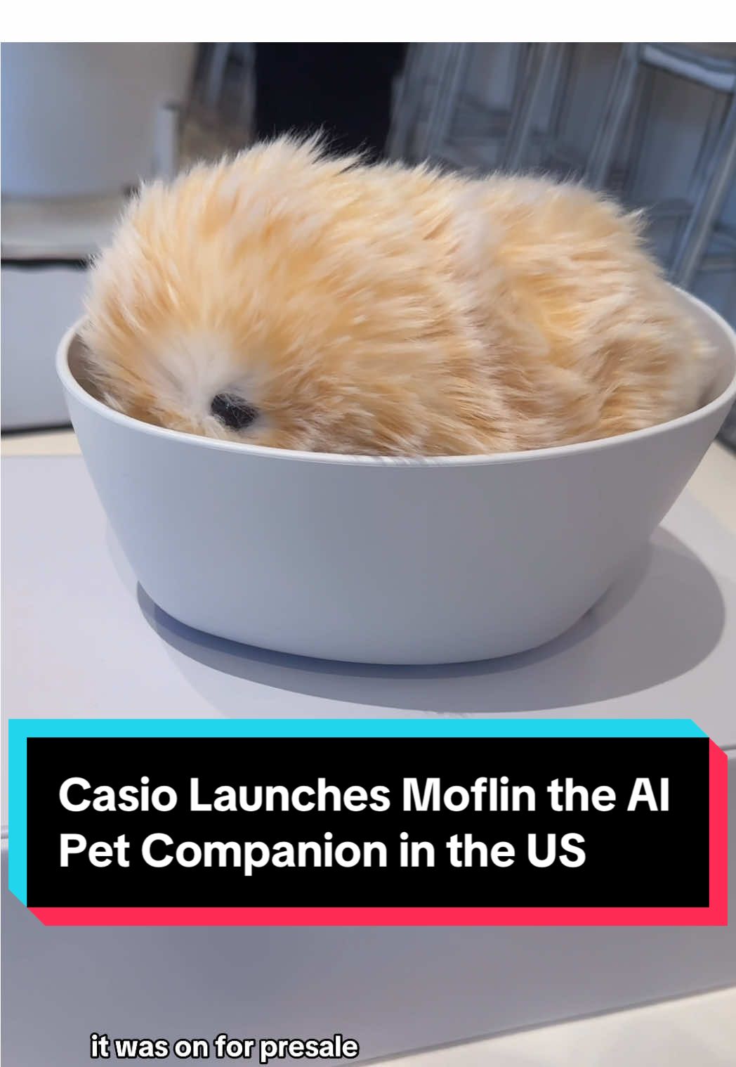 Casio has officially brought its sold out $429 AI pet companion for those who’ve always wanted a pet but never had the chance to and for those experiencing loneliness. Would you get one of these? #casio #ai #robot #pets #toys @Lai Frances 