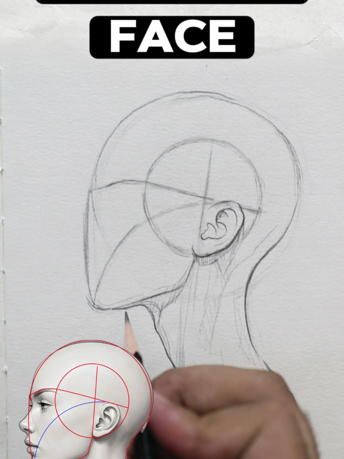 ✨ Master Face Angles with Loomis ✨ Struggling with proportions? The Loomis Method makes it super simple — you can map out any face angle in seconds! ⚡ Grab the special discount on the Complete Loomis Course — click the link in bio or just comment COURSE 👇 #loomismethod #howtodraw #drawing #arttutorial #portraitdrawing          