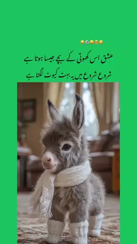 #بدنصیب #fyp?fyppppppppppااااااااااااا #funnyvideo #fulltrending #foryoupage 