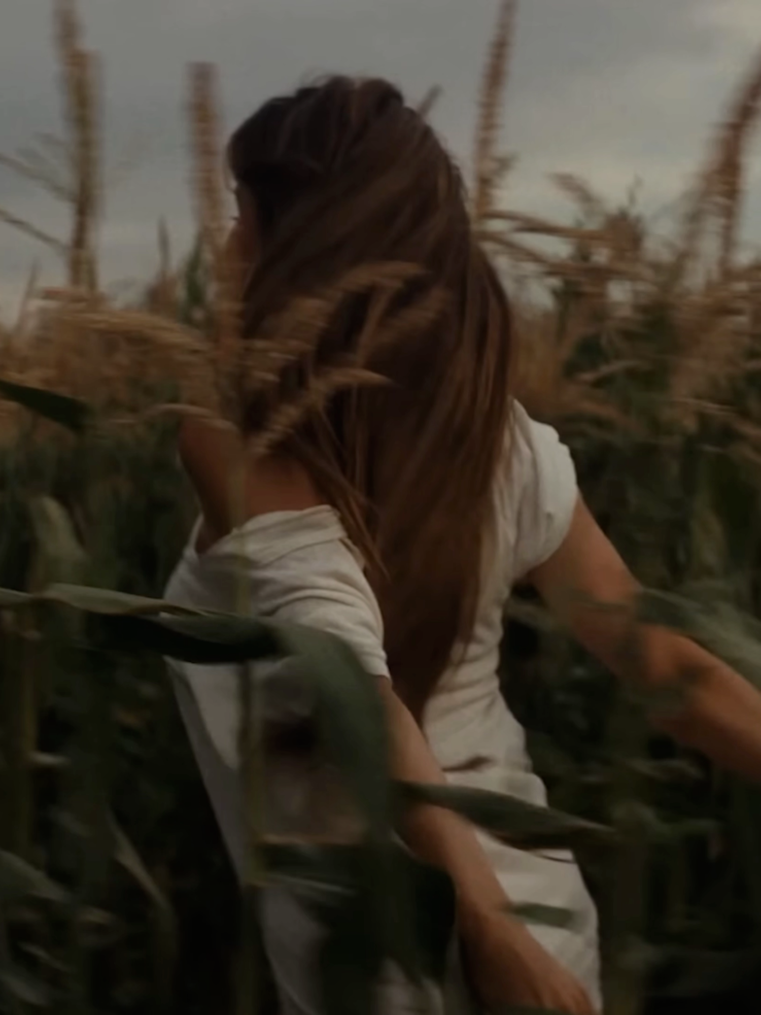 madison beer golden brown slowed #premierepro #edit #OSO #twixtoredit #foryou #madisonbeer