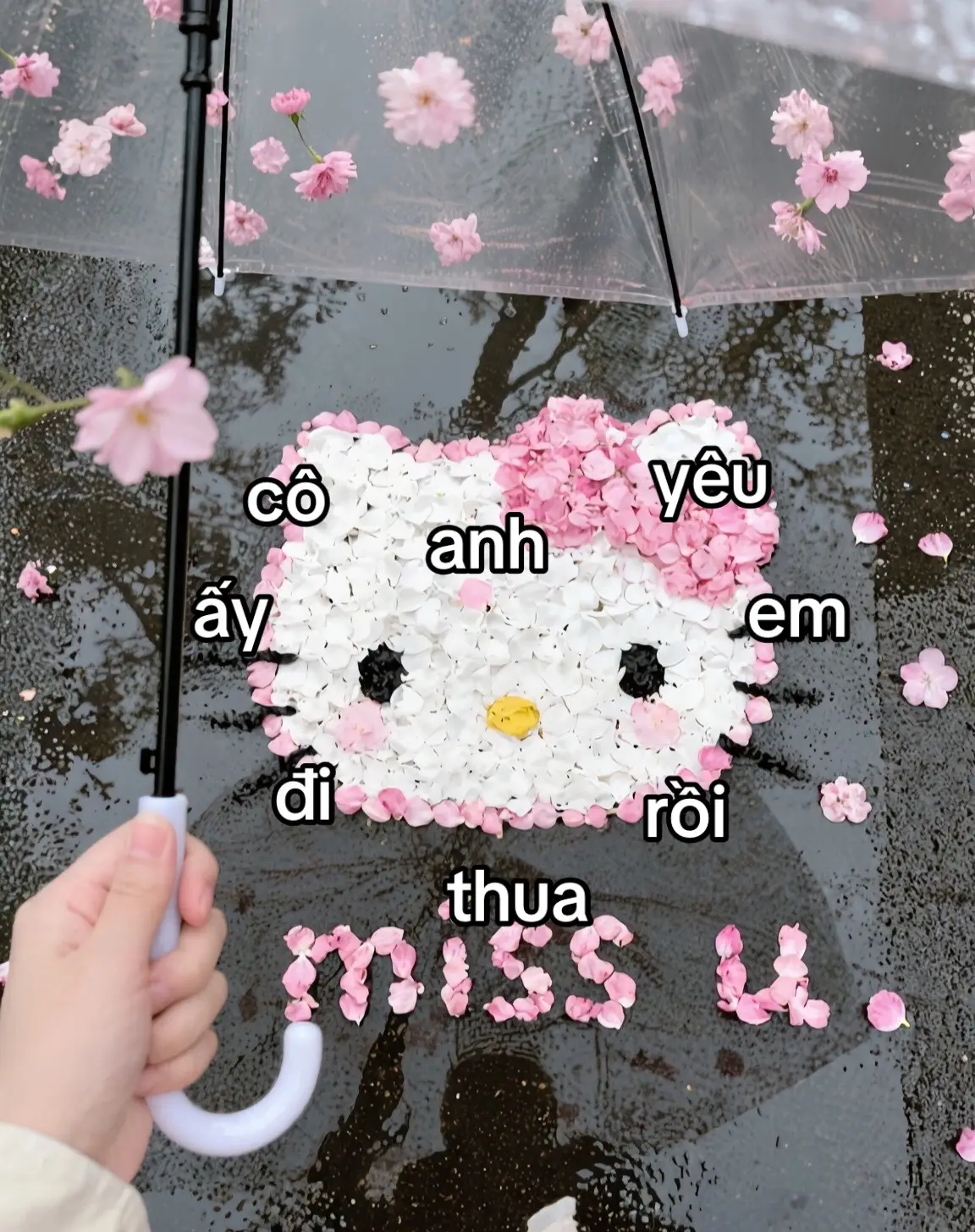#xuhuongtiktok 