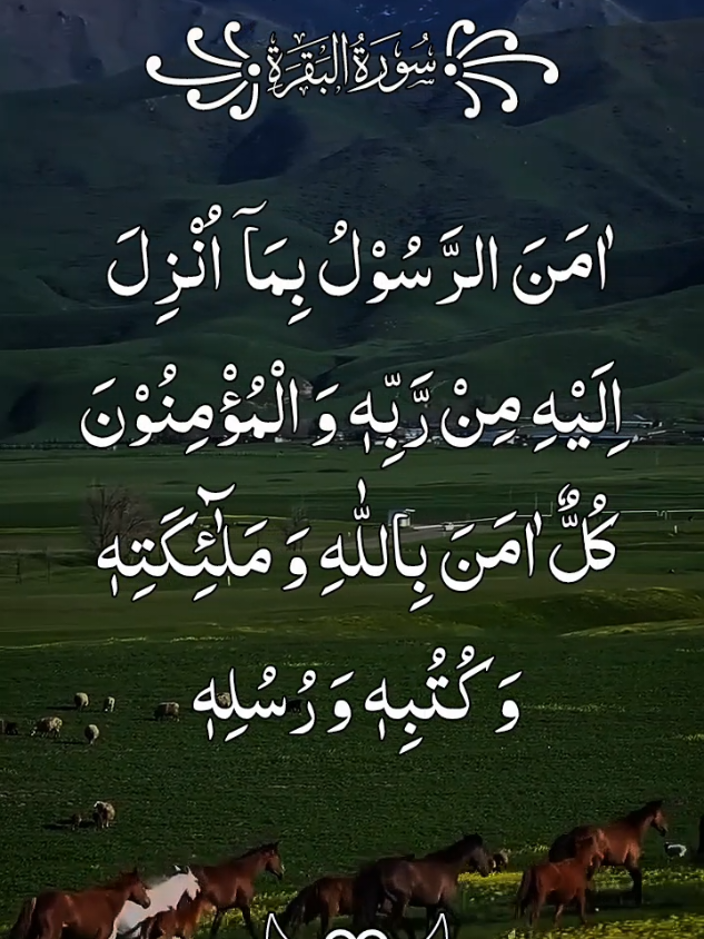 Surah Baqra beautiful recitation 🤩❤️#growmyaccount #unfreezemyaccount #fyp #foryou #القران_الكريم 