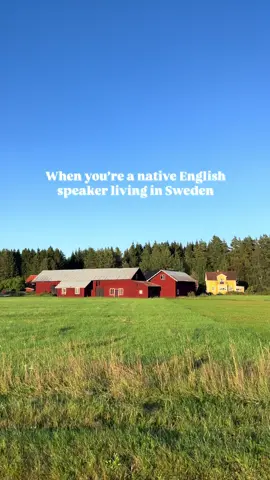 It’s been years and it still gets me every time 🇸🇪🍓🌞 #sweden #sverige #svenska #swedish #lostintranslation 