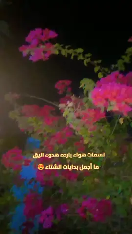 أجوائي 🥹😍 #شتاء_البرد_اجواء_شتويه #