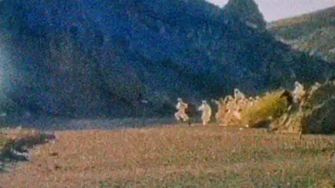 #ياصاحب_الزمان🥺❤️ #ياصاحب_الزمان_الهم_عجل_الفرج_لوليك_الحجه