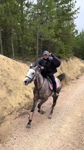 Şarkıya bayıldık…ikimiz de 🙂‍↕️🙂‍↔️ . . . . #horses #horsesoftiktok ##fypage 