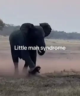 #fyp #funny #comedy #merthyr 