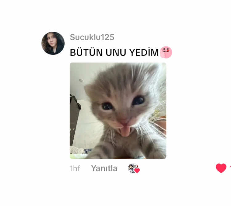 Korkunç yemek pişirme yorumları 2 . #kesfetteyiz #dublaj #trend #viral #fyppppppppppppppppppppppp 