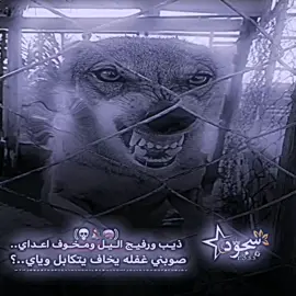 أآيي نـعم 🔕✌🏻#ذيب #صعدو_الفيديو #عبارات_جميلة_وقويه😉🖤 #مشاهير_تيك_توك #يارب❤️ 