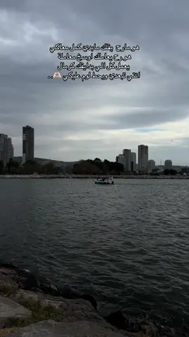 *منشوراتي ما بتعبر عني🥲🫶🏻*#مالي_خلق_احط_هاشتاقات🧢 #ازمير #حلوش #منشوراتي_ماتمثلني 