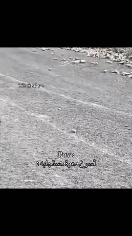 ههههههههههههههههههههههههههه #fyp #foryou #دعوة 