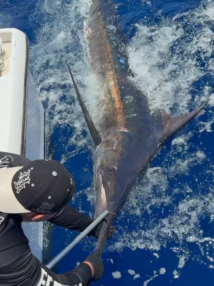 Maumau pescou seu primeiro marlin em Ilheus Bahia #maumau #maumauzk #pescaria #ilheus #viral