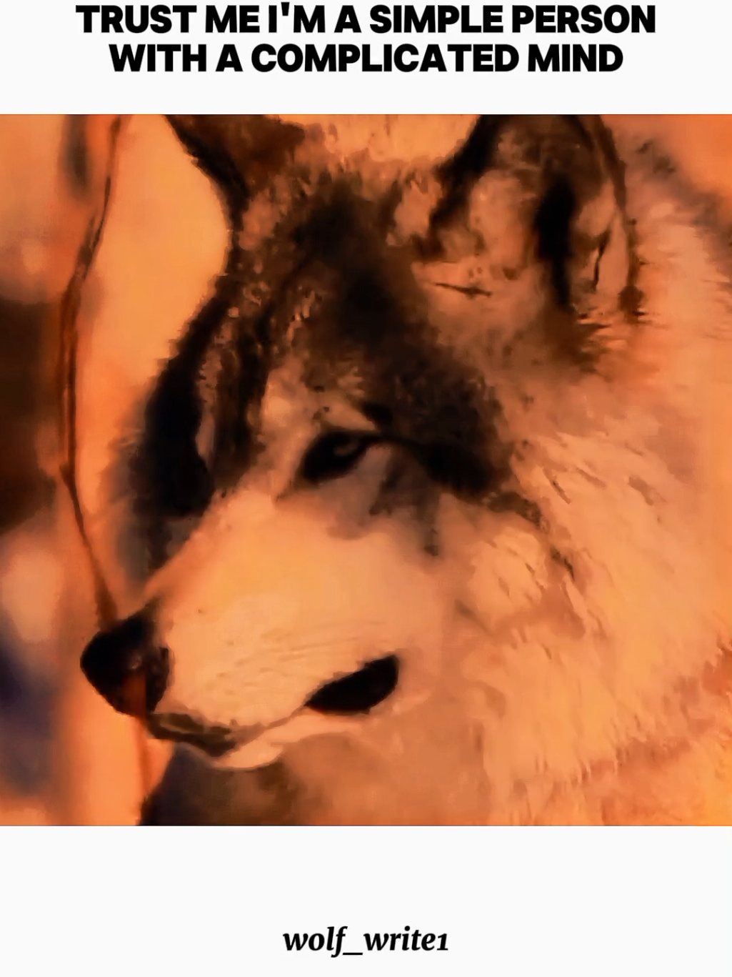 #viralvideo #forupage #foryou #wolfwrite1 #1millionaudition 