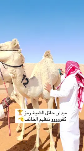 #الوثبه #قطر #عمان #خطاحمر🚫 #UAE 