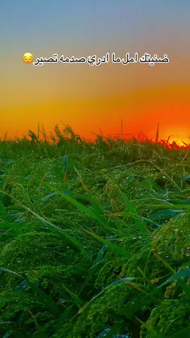 #تصويري #تصويري_احترافي_الاجواء👌🏻🕊😴 #مجرد________ذووووووق🎶🎵💞 #عباره_للفيديو🙂💔 #عباراتكم_الفخمه🦋🖤🖇 