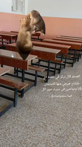 المدرسه ✨️#fyp #edit #CapCut #شعب_الصيني_ماله_حل😂😂 #مدرسه