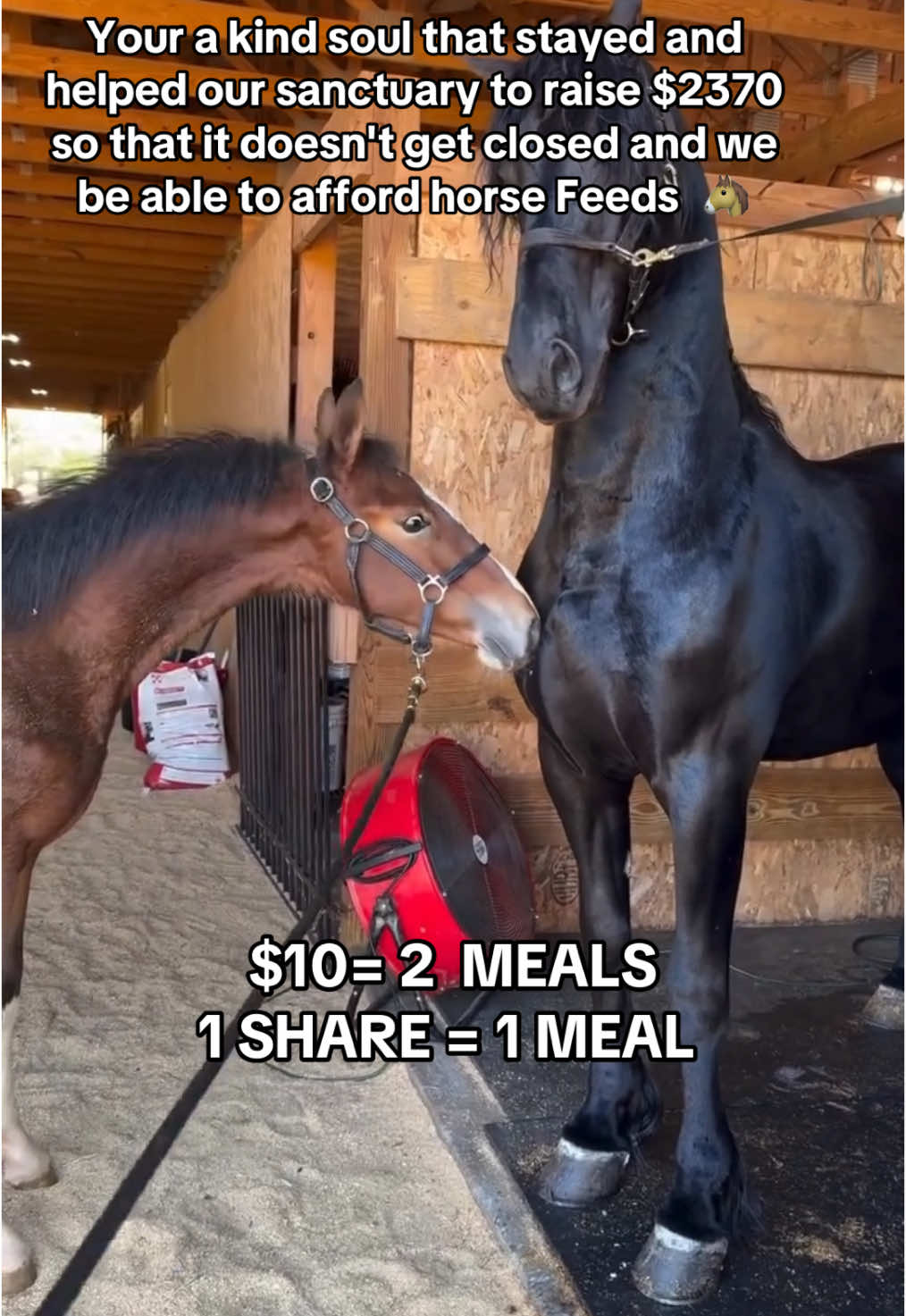 Your a kind soul that stayed and helped our sanctuary to raise $2370  so that it doesn't get closed and we be able to afford horse Feeds  🐴#horse #fyp #trend #tiktok #Love #fyppppppppppppppppppppppp #page #sad #fypシ #push 