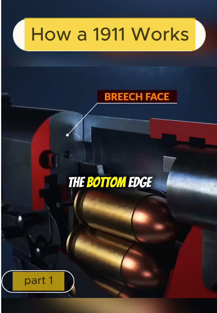 HOW A 1911 WORKS #gunmodel #fyd #gunsafety #selfdefense #protect 