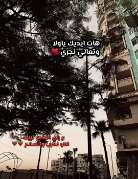 هات ايديك وتعالي نجري ♥️ #شعبي #الحاجه_نبيله#viral @الحاجه نبيله بلبل الشرقيه 