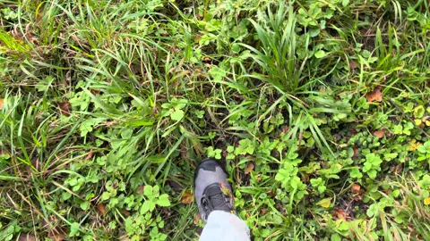 #141#nature #savenature #swizerland #mountains 