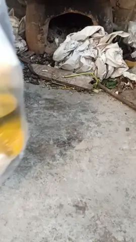 Minyak Rambut Rumahan yang Sehat 🍀🔥