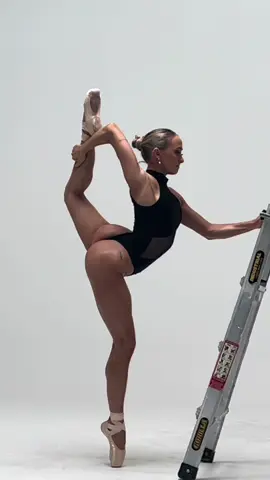 The ladder was the real MVP. 🪜