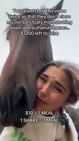 You rewatched this video twice so that they don’t close my our sanctuary from shutting down and euthanize horses..$1200 left to raise#fyp #goviral #sanctuary #horse #london 