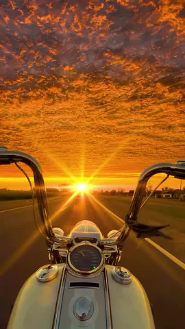 Don’t you think this is an amazing view? I wish I had the same field to see sunset… Would you ride your bike at golden hour? #harley #moto #motorcycle  ##view ##sunset