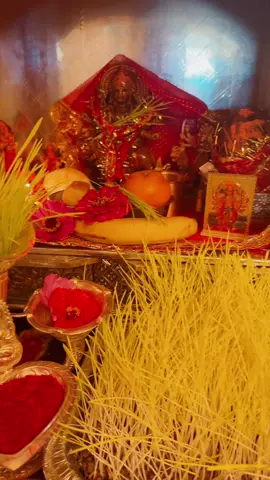 #happy dashain everyone 🙏#jaymatadi🙏🙏 #blessings #❤️fyp❤️シ゚viral @Rajesh Rajak 