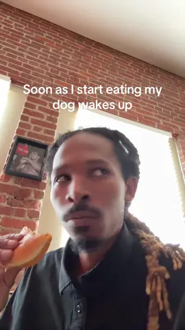 Soon as I start eating my dog wakes up #eating #dog #pitbull #doglover #pitbullsoftiktok 