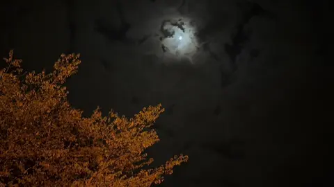 عباراتكم #fyp #محمد_بن_فطيس 