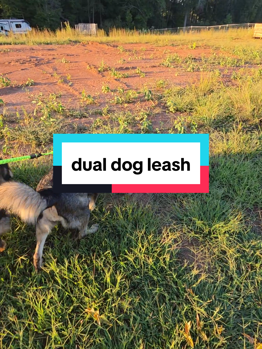 no tangling anymore. 