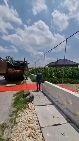 bismillah awal bulan Oktober  #tobacco #tembakaujawa #krosok #fyp #viralvideo 