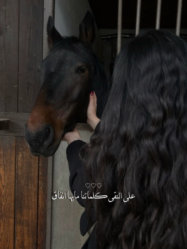 🐎🖤#CapCut #خيل_وخياله🐎 #الاردن #مهرة🐎 #خيل_حصان_فرس_مهره_خيول_امهار_العاديات 