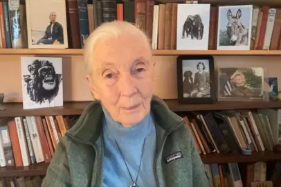 In Memoriam Dr. Jane Goodall 1934-2025 With respect and gratitude Praveen Moman and the Volcanoes Safaris team #janegoodall #conservation #legacy #chimpanzee #chimps 