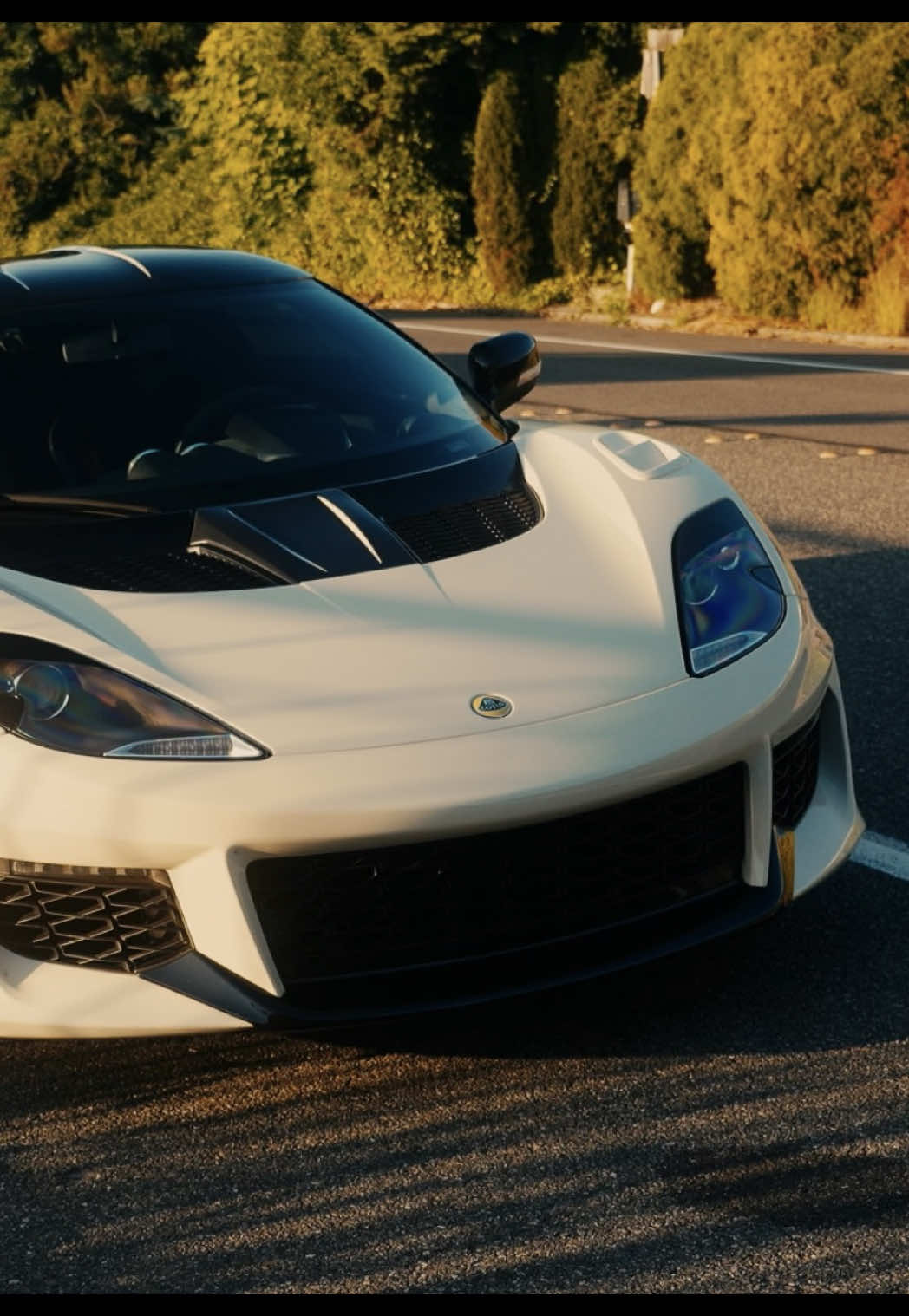 🪷 #lotus #evora