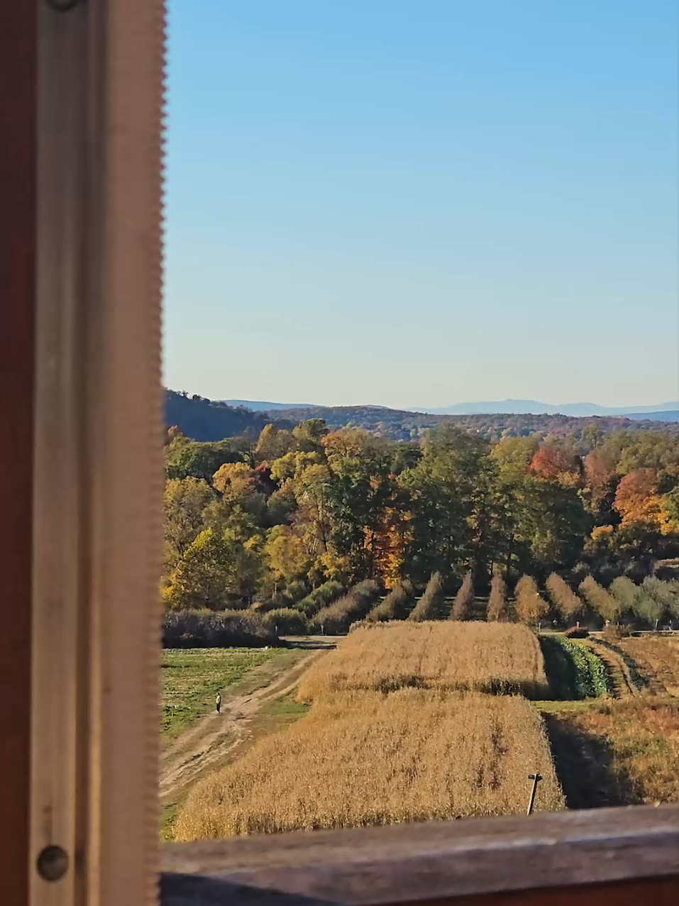 Apple cider, donuts, good food and friends make Angry Orchard & Fishkill Farms my favorite Autumn activities in upstate NY 😍😍 