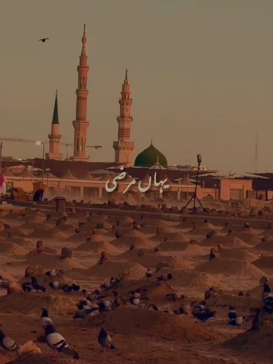 Yahan Marzi nahi chalti kaisi ki Madine Wala hi bulwa Raha hai 😭💔🤲🏻 #foryou #Tiktok #viral #islamicaesthetic276 #Naat @Luqman Aesthetic 🫀 