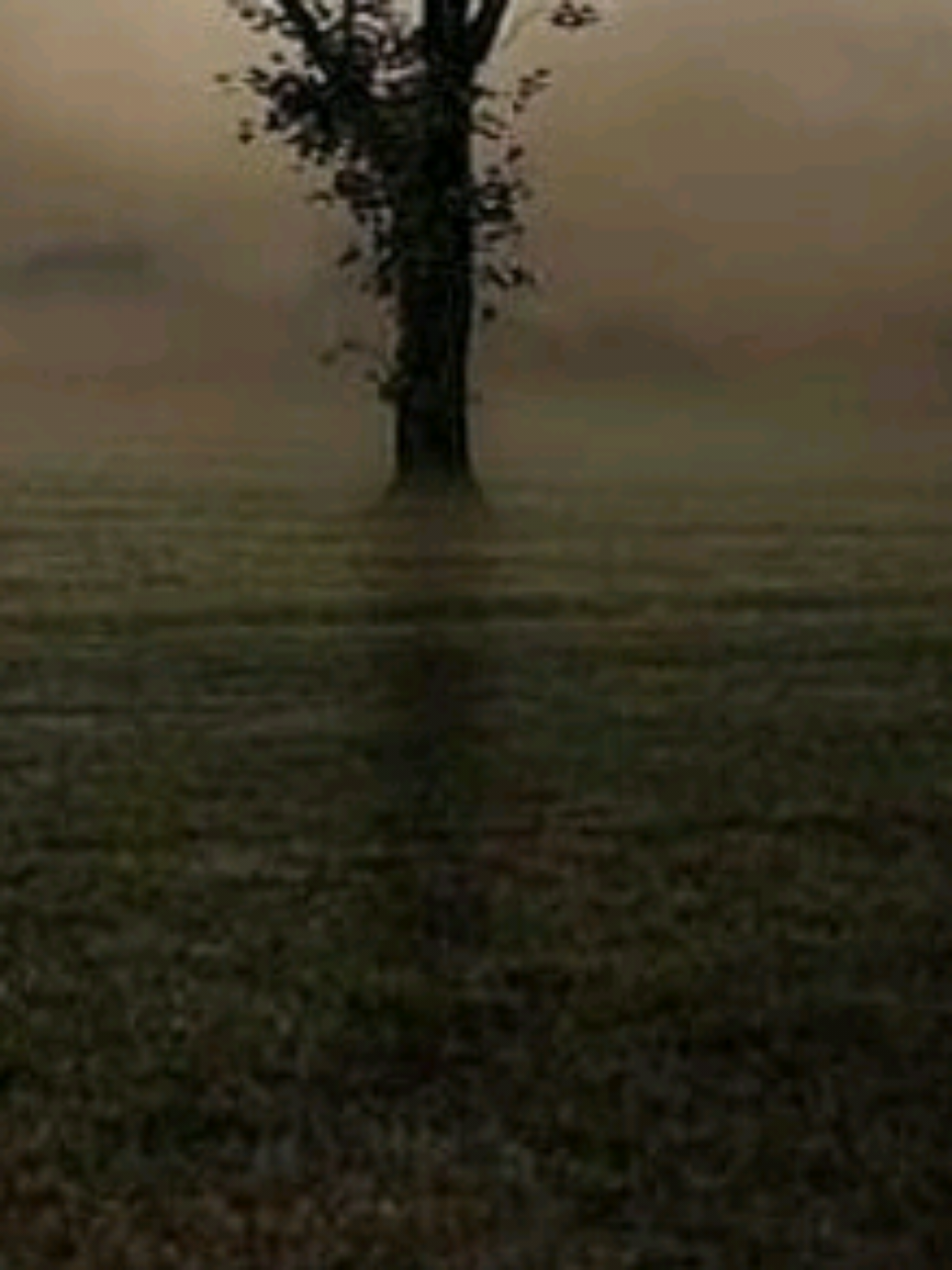 #حكم_وأقوال #كلام_من_ذهب #خواطر_إسلامية_مريحة_💙 #اقتباسات_عبارات_خواطر🖤🦋❤️ #مشاهدات 