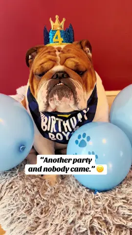 “Table for one.” 😏 #dogsoftiktok #pets #dogs #birthday 