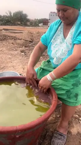 أكثر الدول إنتاج لزيت الزيتون 