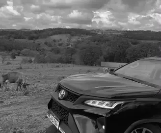 . . . . . . . . . . #sw4 #hilux #hiluxsurf #sw4hilux #sw4life                  